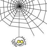 spider web