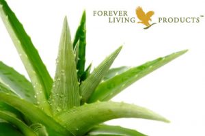Forever Living Logo
