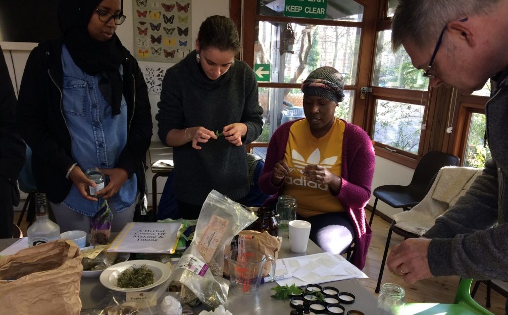 Practical Medicine Making Workshops with Hedge Herbs