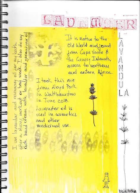 Herbalistic Journal Project logo, image of two notebook pages with notes and pressed flowers