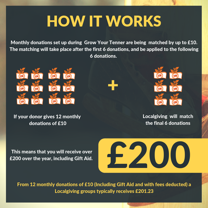Grow Your Tenner how it works info graphic