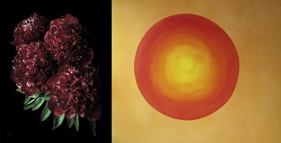 Two art works, on the left a photograph of a bunch deep red peonies, on a black background, the flowers are framed by their green leaves. On the right a painting of the sun in bright reds to yellow