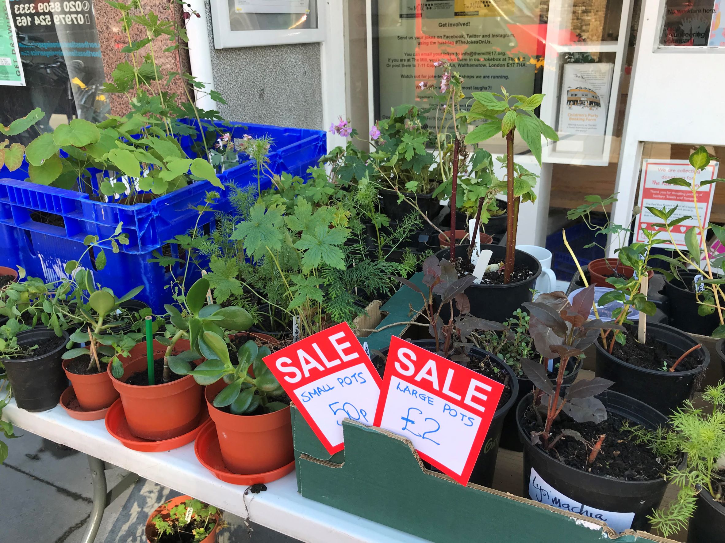 The Mill Plant Sale