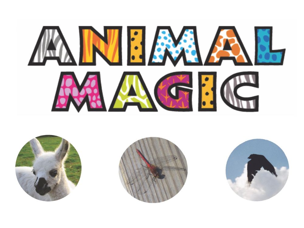 Animal Magic - art exhibition