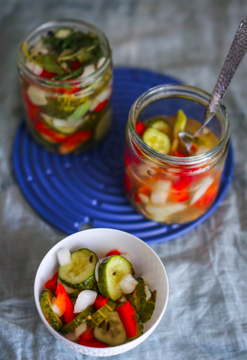 Lactic Fermentation Class