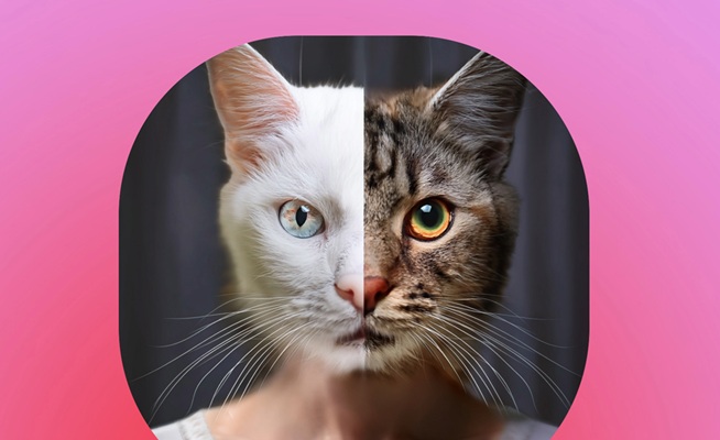 ABOUT FACE Art Exhibition