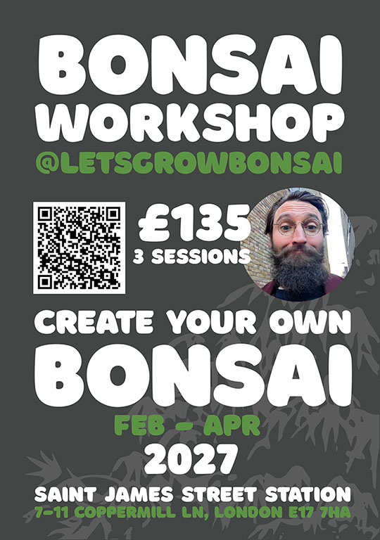 Let's Grow Bonsai